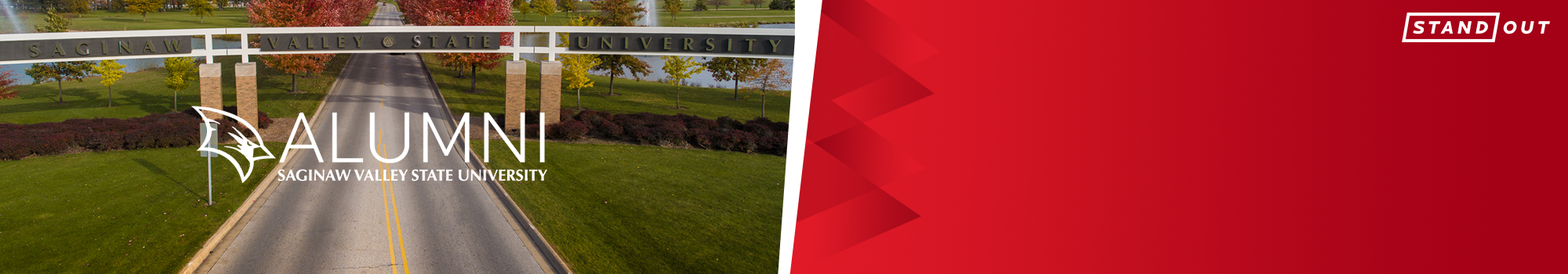 Home page banner: long